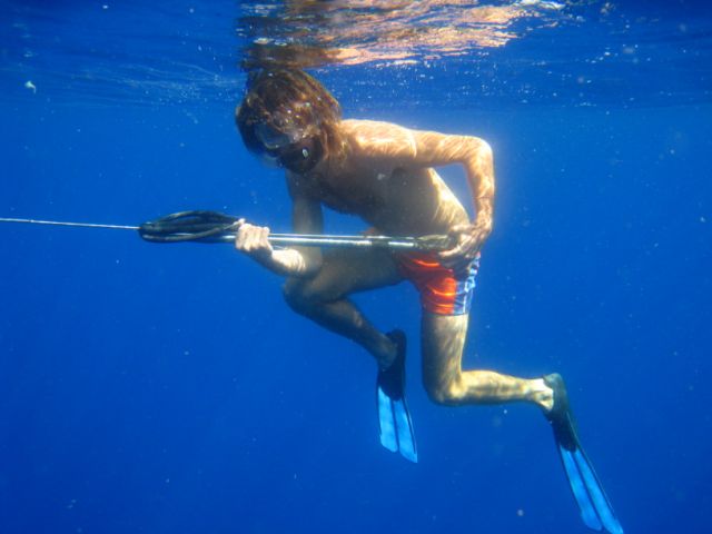 18 Aug 2010<br>This is no wind, not a pet of wind, we throw ourselves into the water by 4000 bottom in the middle of the Pacific. Unique moment. <br> We take this opportunity to try an underwater hunting property. By Olivier on the lookout for a barracuda imagination. <br> Sailboat Kamoka between Tonga and New Caledonia, South Pacific. by Google Translate