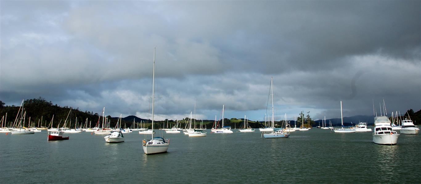 De nombreux voiliers de voyageurs en repos à la baie des ïles à notre arrivée. 
Opua, NZ