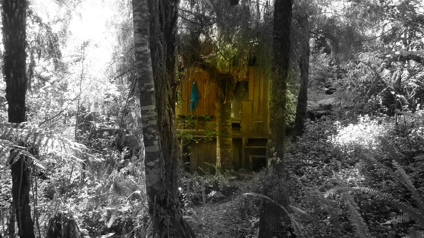 31 Jan 2012<br>Notre petite cabane de retraite, cachée dans la forêt.
Tara stone, Coromandel, Ile du Nord, Nouvelle-Zélande
