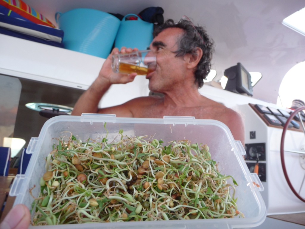 15 Dec 2008<br>Jacques a trouvé la parade aux éternelles conserves du bord. Pour améliorer le quotidien, il fait pousser des germes qui accompagnent aussi tous nos repas. C&rsquo;est délicieux, frais, et bourré de bonnes protéines végétales. Fier de lui il s&rsquo;enquille aussitot une bonne bière. <br>Selya, Atlantique, entre Cap Vert et Brésil