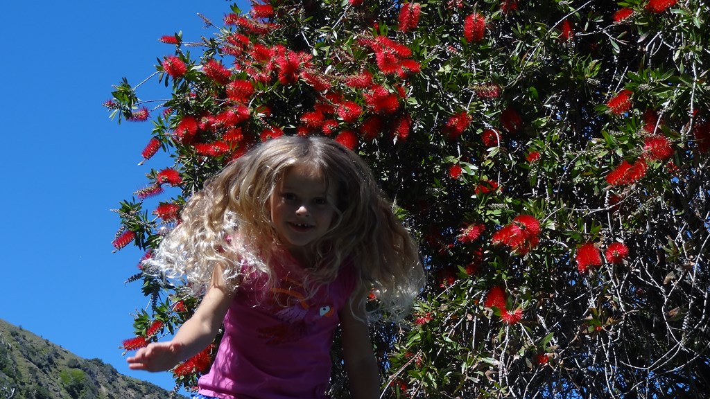 09 Nov 2012<br>Kira, cheveux d'or parmi les fleurs.<br>Paekakariki, Sud de l'Ile du Nord, Nouvelle Zélande.