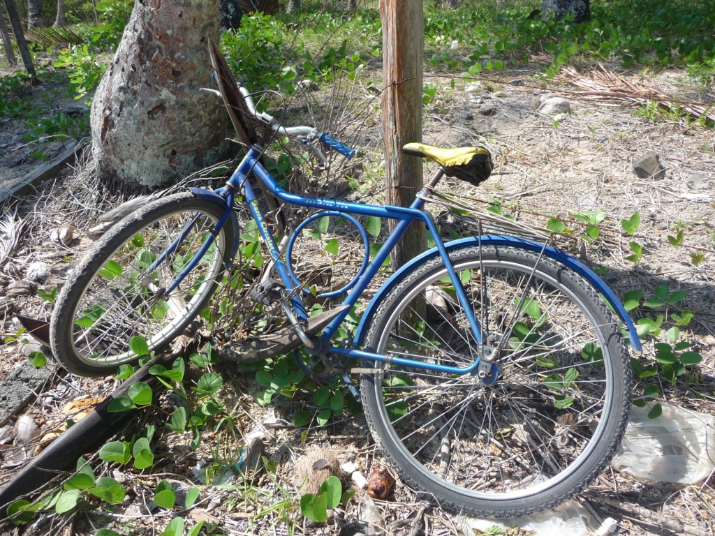 The bicycle typical of Brazil: indestructible, it is found everywhere here. No gear, brake times, solid tires and a good steel frame unbreakable. A good product, it serves to all passenger transport, freight ... <br> Ilha de Itaparica, Salvador de Bahia, Brazil by Google Translate