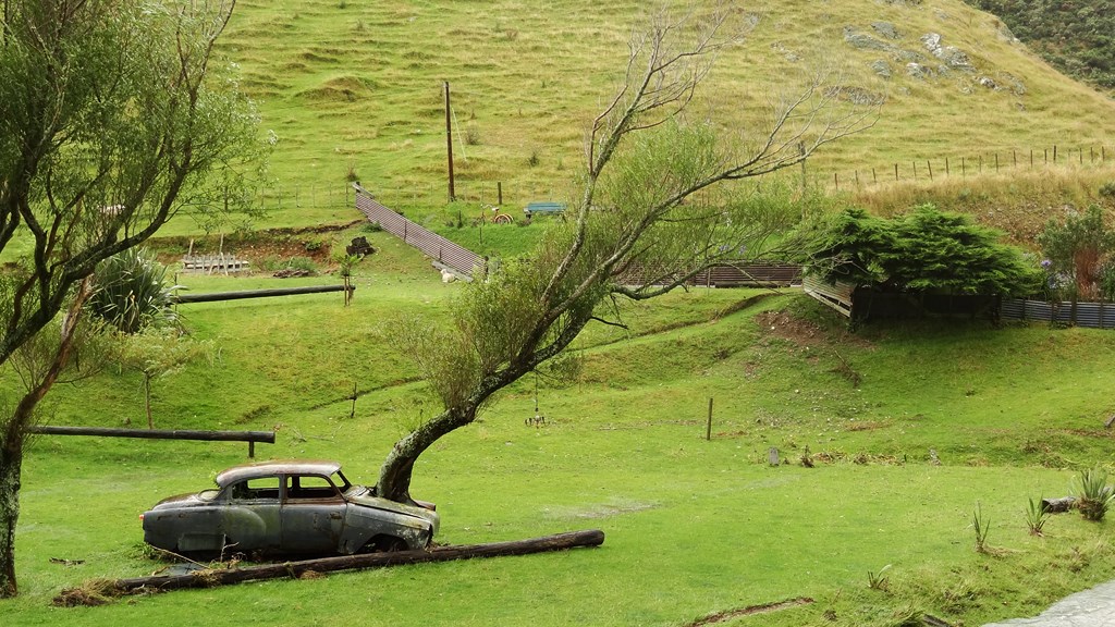 05 Feb 2013<br>Pour une fois que ce n'est pas la voiture qui est rentrée dans l'arbre... mais le contraire.<br>Porirua, Ile du Nord.