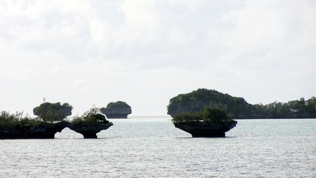 07 May 2013<br>Champignons non atomiques<br>Île des Pins, Nouvelle-Calédonie.