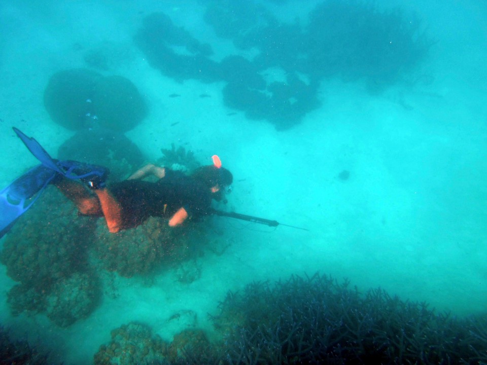 05 May 2013<br>Olivier en plein apprentissage à la chasse sous marine. Premier vocabulaire: Broucouille!<br>Île des Pins, Nouvelle-Calédonie.