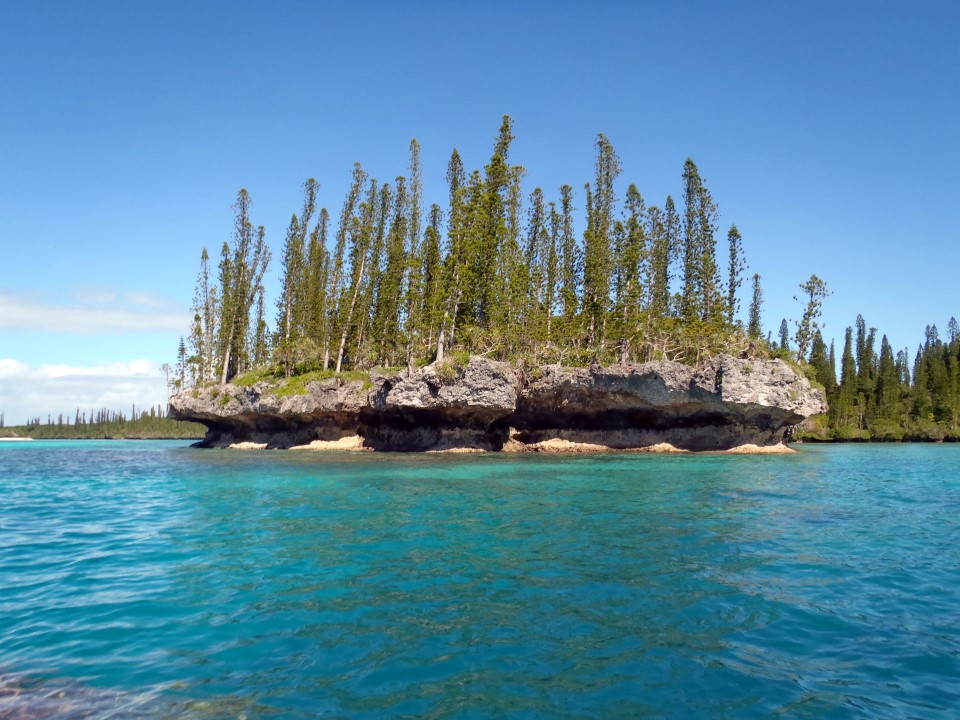 05 May 2013<br>Formations rocheuses de calcaire avec les pins colonnaires par dessus.<br>Île des Pins, Nouvelle-Calédonie.