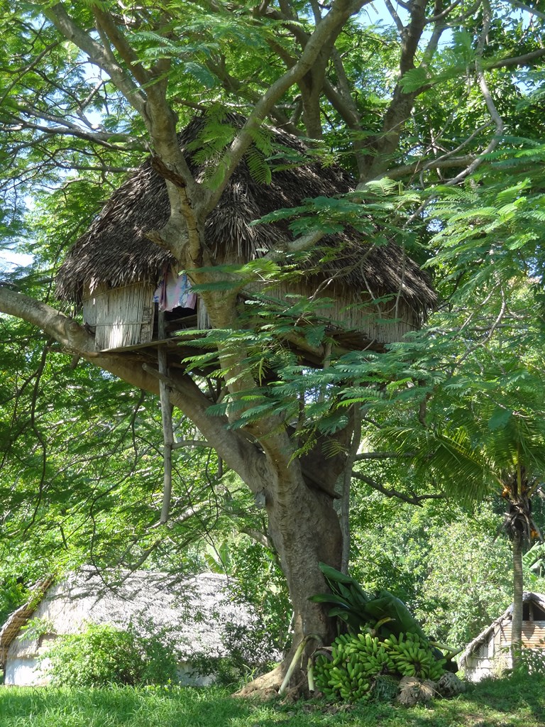 Habitation traditionnelle hyper cool<br>Ile de Tanna, Vanuatu.