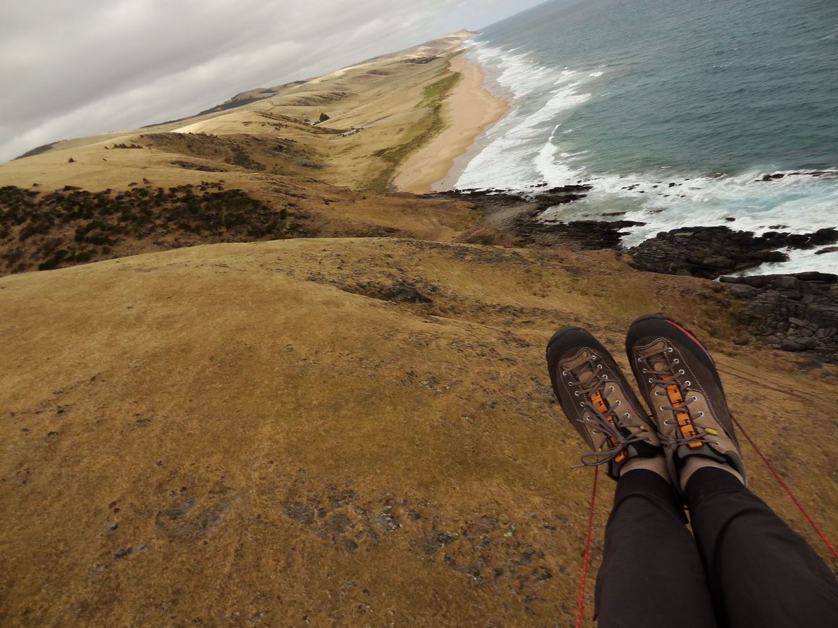 11 Jan 2014<br>Belles chaussures, non?<br>Tunkulilla, Fleurieu Peninsula, Adélaïde, SA, Australie.