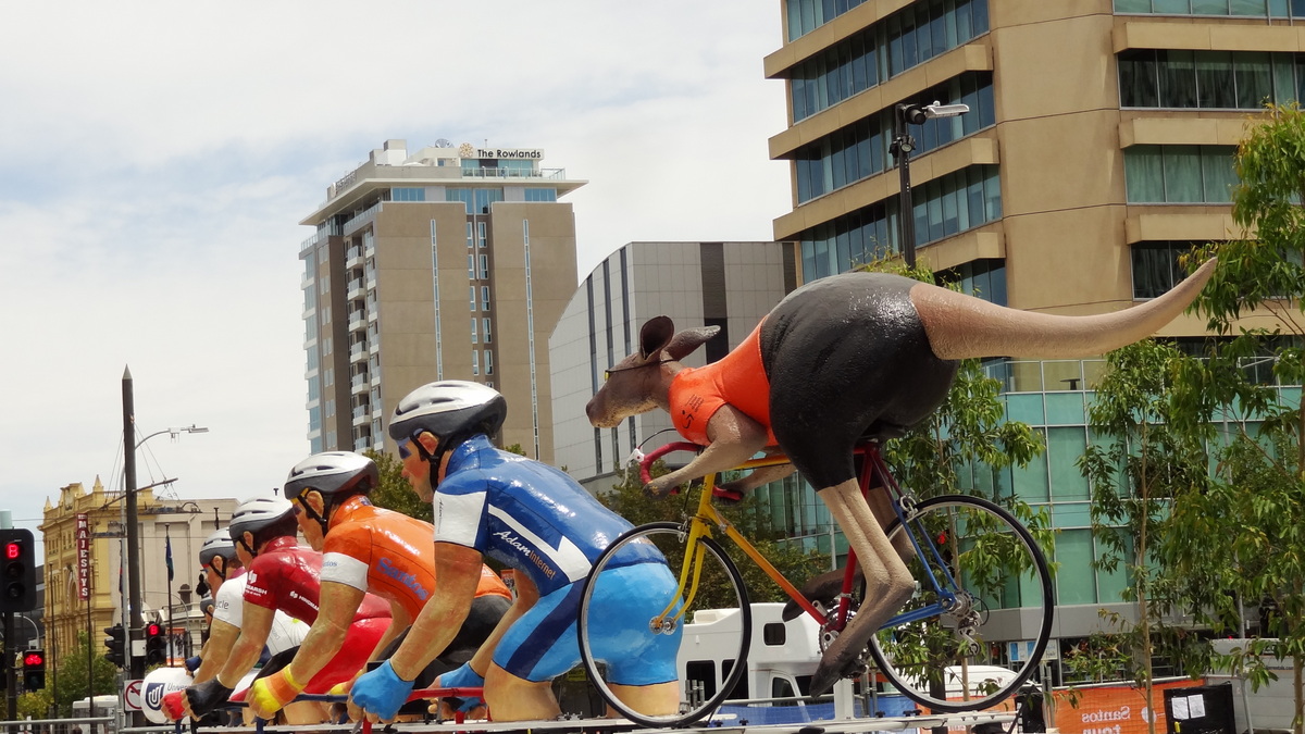 17 Jan 2014<br>Un kangourou à vélo!! Tour down under, gros événement international cycliste en Australie.<br>Adélaïde, SA, Australie.