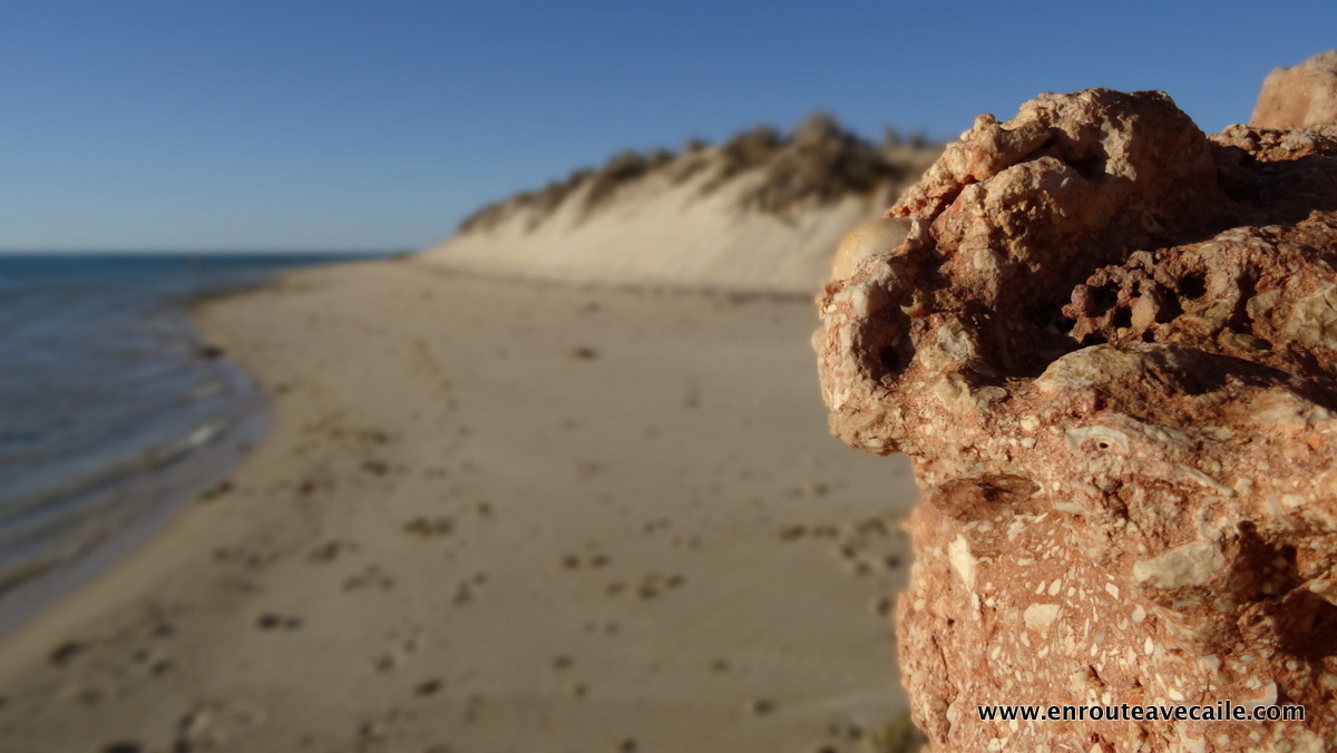 13 Apr 2014<br>Beauté minérale.<br>Ningaloo NP, Western Australia.