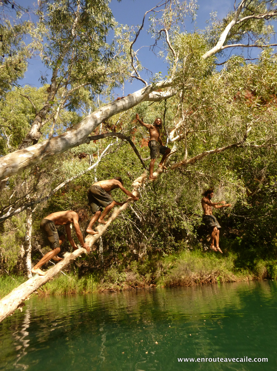 24 Apr 2014<br>Un arbre de l'eau un jump.<br>Karijini NP area, Western Australia.