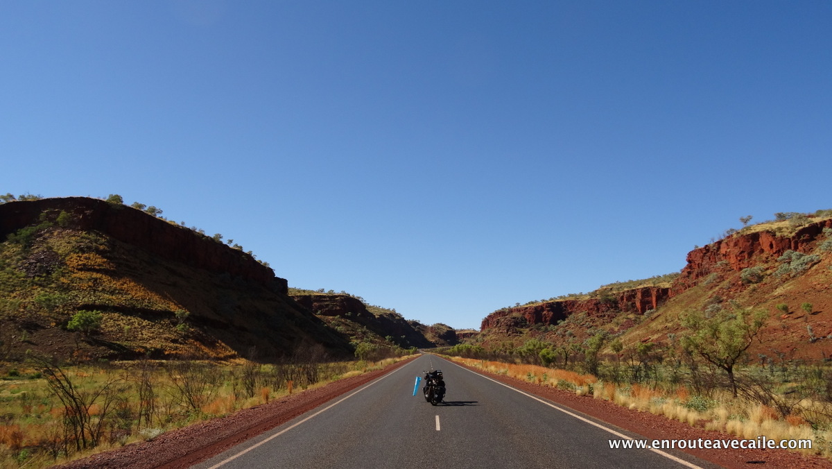 28 Apr 2014<br>Tout tout tout petit.<br>Karijini NP area, Western Australia.