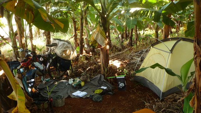 15 Mar 2009<br>Camping in a banana plantation. <br> Andira, Parana, Brazil