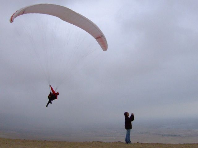 14 Jul 2009<br>"Eh! je suis là!"<br>Antofagasta, désert d'Atacama, Chili