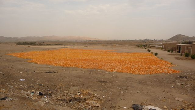 19 Nov 2009<br>A football field was requisitioned for drying grain on the ground. The colors stand out, a flash in the gray flat landscape.