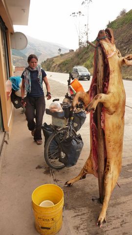 Nous en voyons souvent le long des routes ces cochons écorchés. Les clients prennent tel ou tel bout jusqu&rsquo;à disparition complète de la bête.Riobamba , Equateur