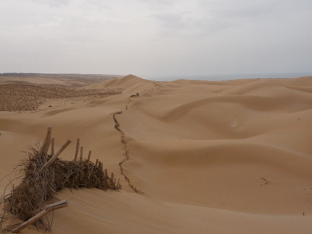 25 Sep 2008<br>Tifnit, South AgadirChamps dunes. Do not cross the Sahara, I had my dose of sand. I left, 48 hours before the departure of my sailboat, on Tifnit, 60 kms to immerse myself in this little desert home.