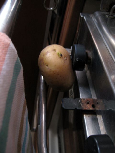 30 Apr 2010<br>We use a potato to let the gas turned on the stove, the blocker being broken. Decomposition Systems D forever! Sailboat Tago Mago, Pacific Crossing between Galapagos and the Marquesas