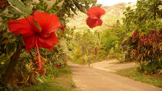 Iva Oa, Marquesas Islands