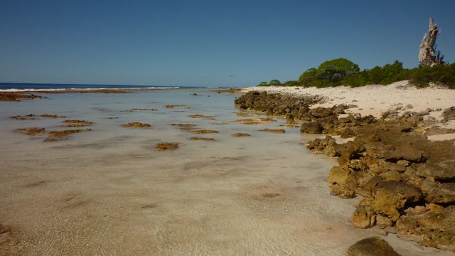 19 May 2010<br>Le platier est cette bande de terrain corailleuse coté océan de l&rsquo;atoll.Fakarava, Tuamotu, Polynésie Française