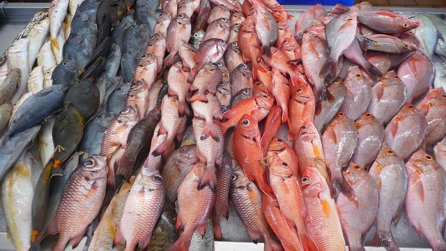 06 Jun 2010<br>Mullet fish sold in the lagoon covered market Tahiti.Tahiti, French Polynesia